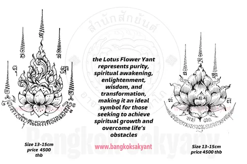 lotus flower 