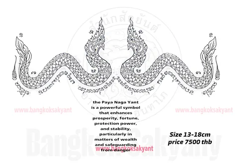 twin naga 