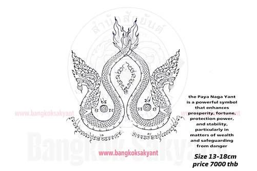 twin naga 
