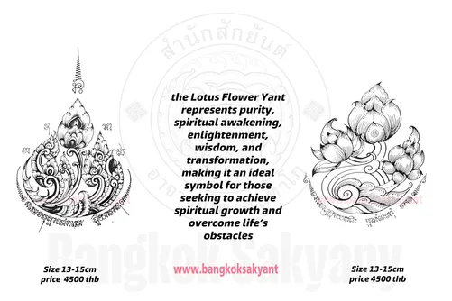lotus flower 